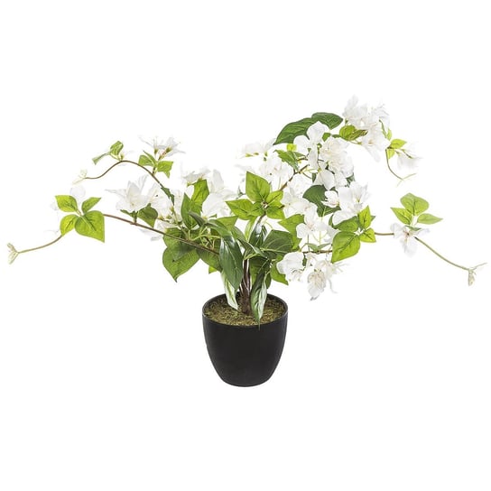 Sztuczna roślina w donicy BUGENWILLIA, 76 cm, białe kwiaty Atmosphera