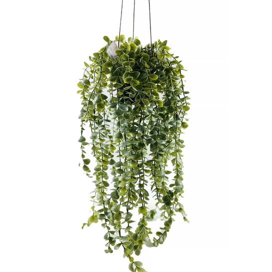 Sztuczna roślina wisząca SENECIO, 60 cm Home Styling Collection