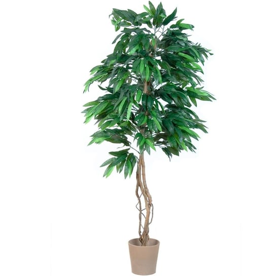 Sztuczne drzewko Mango, zielone,  180 cm PLANTASIA