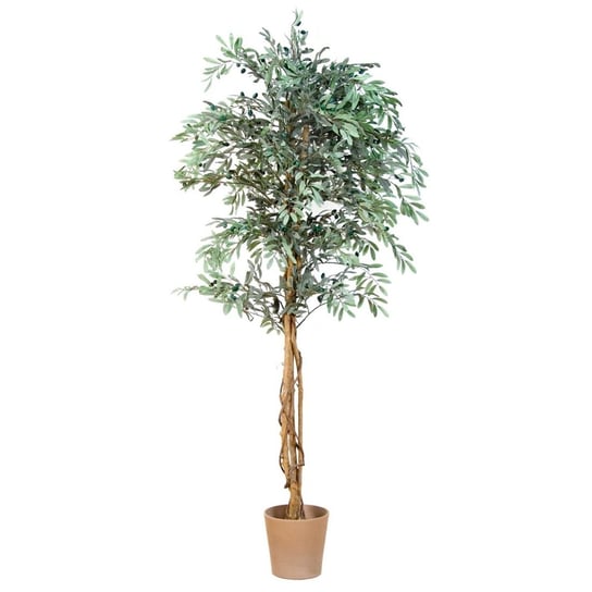 Sztuczne drzewko Oliwne z oliwkami, zielone, 180 cm PLANTASIA
