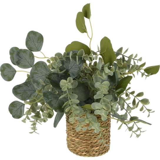 Sztuczne Kwiaty Jak Żywe Eukaliptus, Ø 30 Cm Home Styling Collection