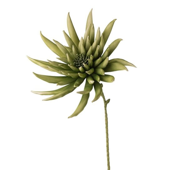 Sztuczny Kwiat Dekoracyjny Flore Zielony X6 Eurofirany