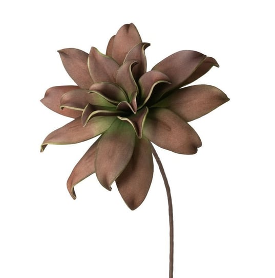 Sztuczny Kwiat Ozdobny Flore Brązowy + Zielony X6 Eurofirany