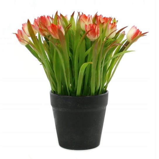 Sztuczny Kwiat Tulipan 20Cm Różne Kolory Midex