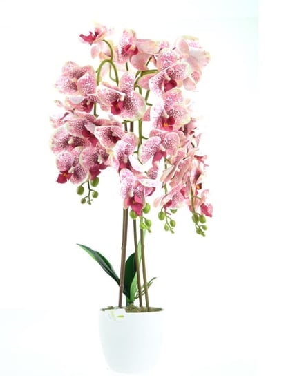 SZTUCZNY STORCZYK orchidea KWIAT ,gęsty bróżowy 70cm DIXIE STORE