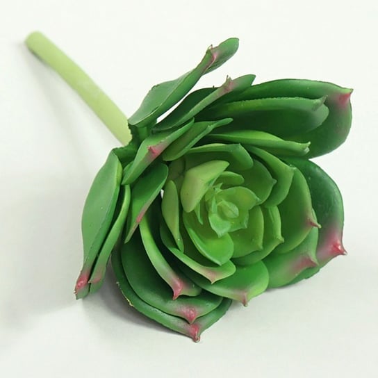 Sztuczny sukulent zielony eszeweria kaktus kwiat ABC