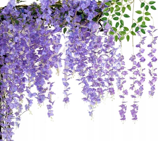 Sztuczny Wiszący BLUSZCZ Roślina Dekoracja x12 - Kwiatowy Zestaw 12 Gałązek Glicynii Edibazzar