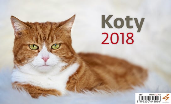Sztuka Rodzinna, kalendarz biurkowy 2018, Koty Sztuka Rodzinna
