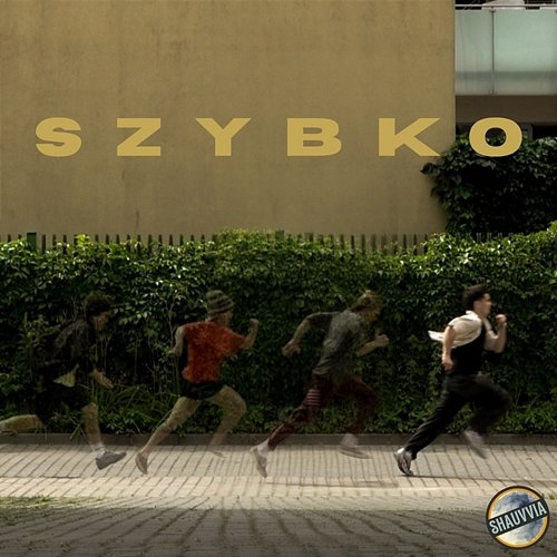 szybko SHAUVVIA