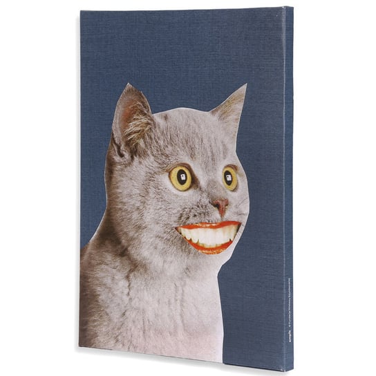Szymborska, Canvas Kot z uśmiechem, 30x40 cm Empik