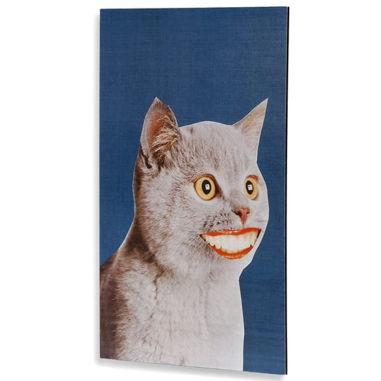 Szymborska, Obraz HDF Kot z uśmiechem, 20x30 cm Empik
