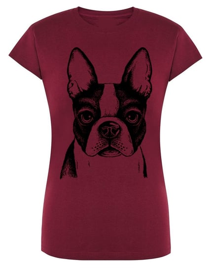 T-Shirt damski nadruk pies Boston Terrier r.S Inna marka