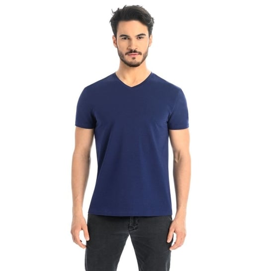 T-shirt męski bawełniany Dany V niebieski, Teyli Teyli