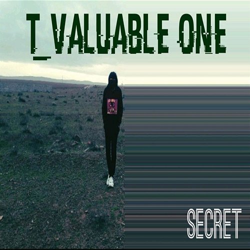 T_Valuable One Secret