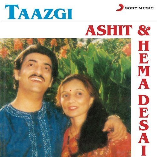 Taazgi Ashit Desai, Hema Desai