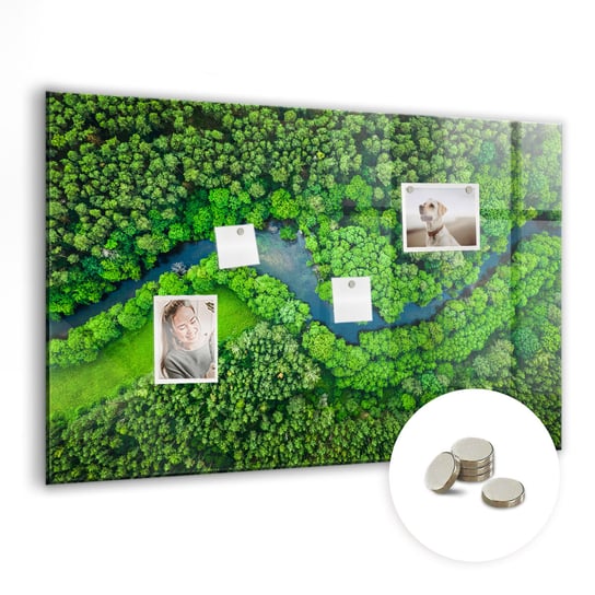 Tablica Magnetyczna do Biura - Rzeka w lesie - 90x60 cm Coloray