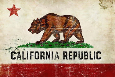 Tablica Ozdobna Blacha California Republic Bear Inna marka