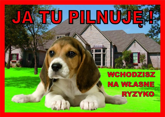 Tabliczka JA TU PILNUJĘ! Laminowana Beagle Chico