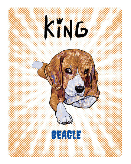 Tabliczka King Beagle Young - 20X28 Cm Bertoni