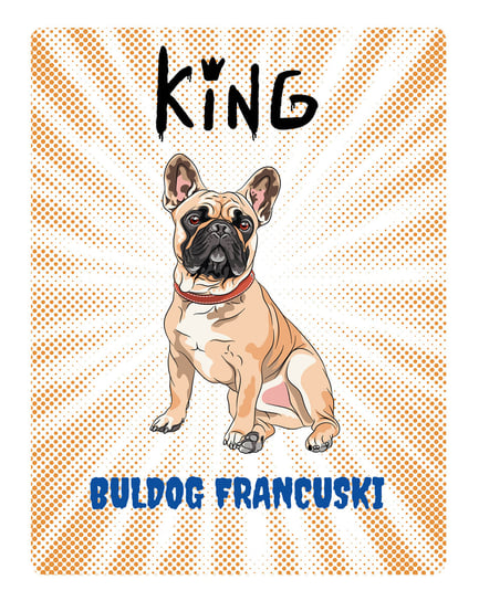 Tabliczka King Bulldog Francuski - 20X28 Cm Bertoni