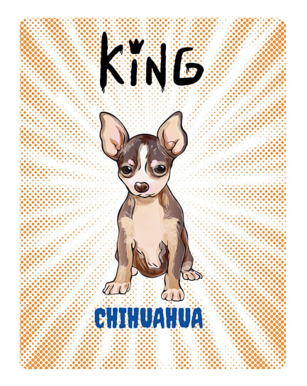 Tabliczka King Chihuahua - 20X28 Cm Bertoni