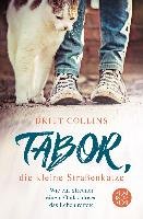 Tabor, die kleine Straßenkatze Collins Britt