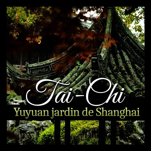 Tai-Chi - Yuyuan jardin de Shanghai - Musique chinoise, activité ZEN, traditionelle musique asiatique, bouddhisme méditation, gymnastique de santé Guo Yang Peng, Buddhist méditation académie