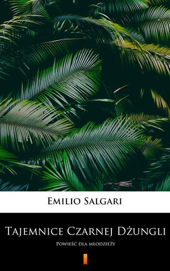 Tajemnice czarnej dżungli Salgari Emilio