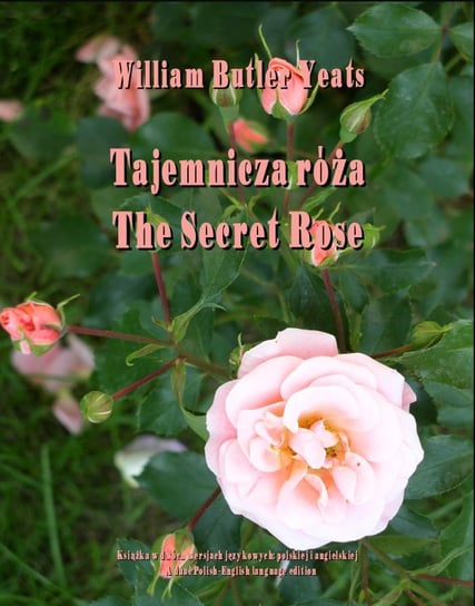 Tajemnicza róża. The Secret Rose Yeats Butler William