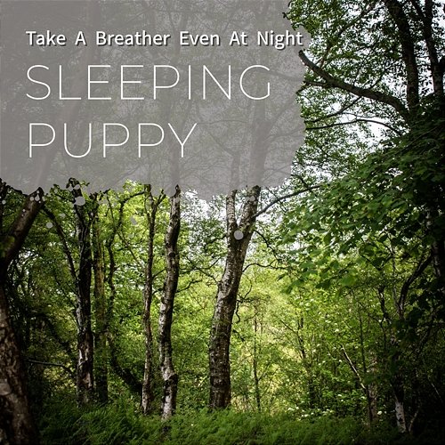 Take a Breather Even at Night Sleeping Puppy