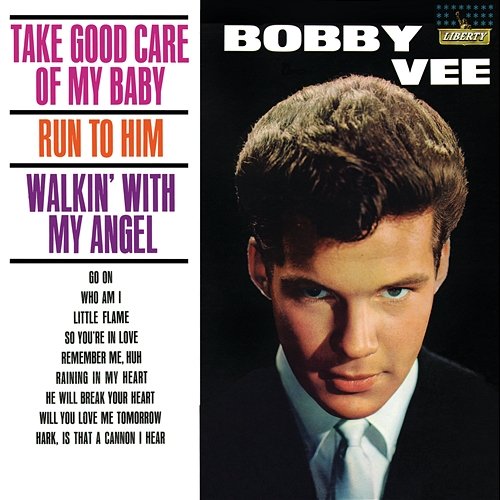 Take Good Care Of My Baby Bobby Vee