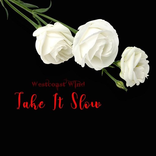 Take It Slow WestCoast Wind