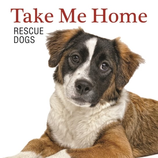 Take Me Home!: Rescue Dogs Grant Andrew