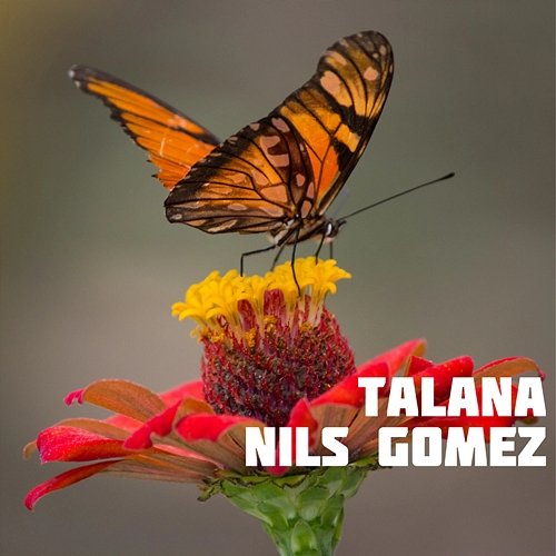 Talana Nils Gomez