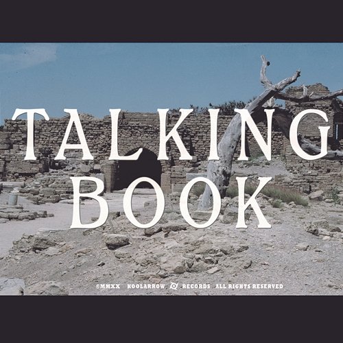 Talking Book II The Talking Book