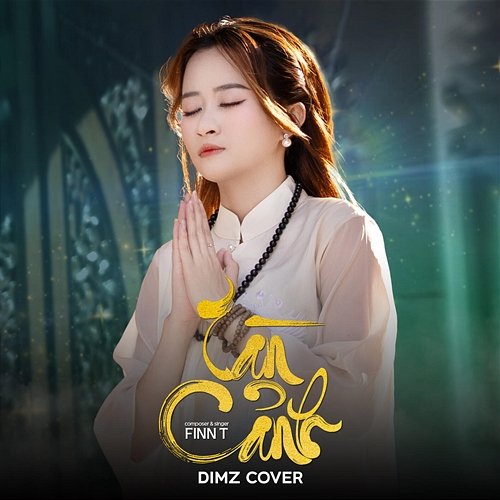 Tàn Cảnh DIMZ, Finn T