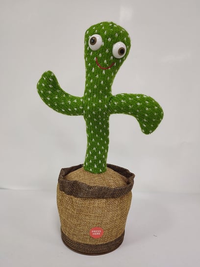 Tańczący kaktus - zabawka dla dzieci Hedo