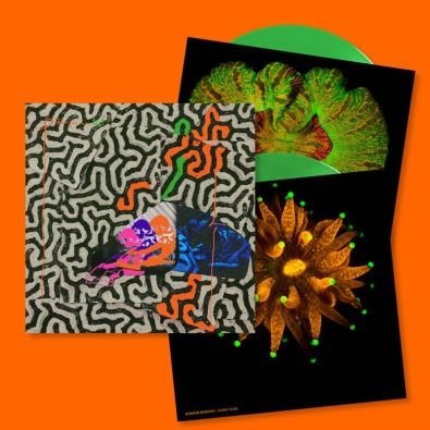 Tangerine Reef (Limited Edition), płyta winylowa Animal Collective