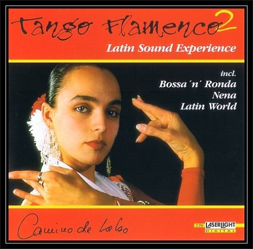 Tango Flamenco 2 Various Artists
