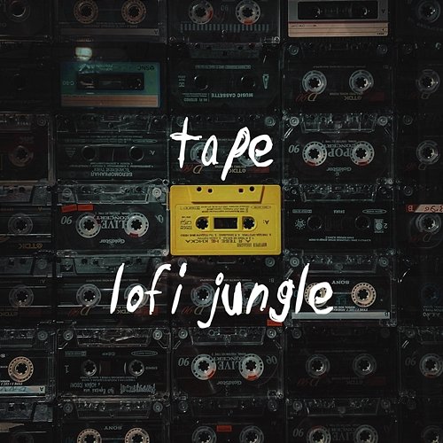tape LOFI JUNGLE feat. WRLDS