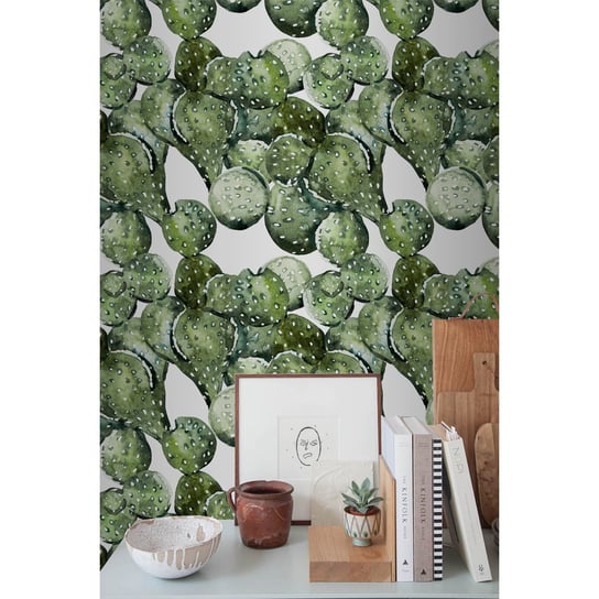 Tapeta flizelinowa Kaktus malowany 152x104 + klej Coloray