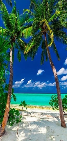 Tapeta na drzwi: Plaża, ocean, palmy, 100x210 cm zakup.se