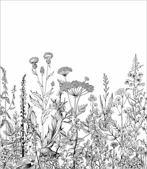 Tapeta papierowa botaniczna łąka, fototapeta, bryt 100x280 cm Inna marka