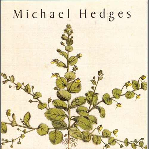 Taproot Michael Hedges
