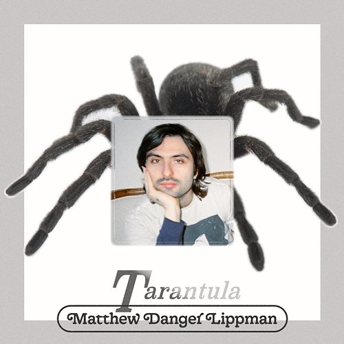 Tarantula Matthew Danger Lippman