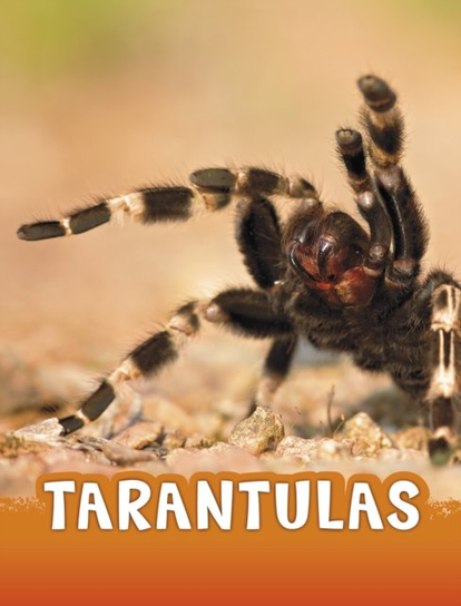Tarantulas Jaclyn Jaycox