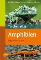 Taschenatlas Amphibien Henkel Friedrich Wilhelm, Schmidt Wolfgang