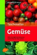 Taschenatlas Gemüse Mattheus-Staack Elke