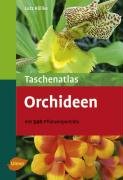 Taschenatlas Orchideen Rollke Lutz