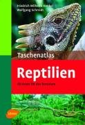 Taschenatlas Reptilien Henkel Friedrich W., Schmidt Wolfgang